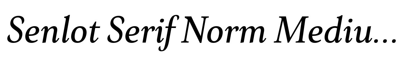 Senlot Serif Norm Medium Italic